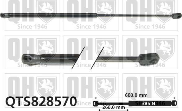 Quinton Hazell QTS828570 - Ammortizatore pneumatico, Cofano bagagli / vano carico autozon.pro