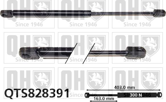 Quinton Hazell QTS828391 - Ammortizatore pneumatico, Cofano bagagli / vano carico autozon.pro