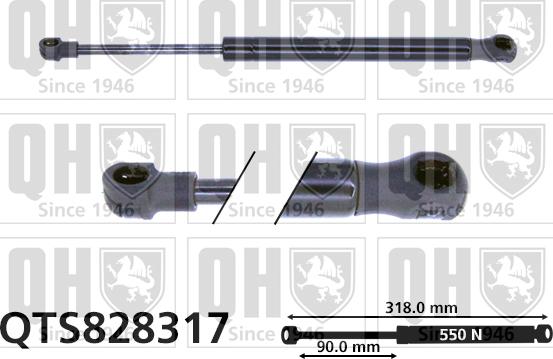 Quinton Hazell QTS828317 - Ammortizzatore pneumatico,Lunotto posteriore autozon.pro