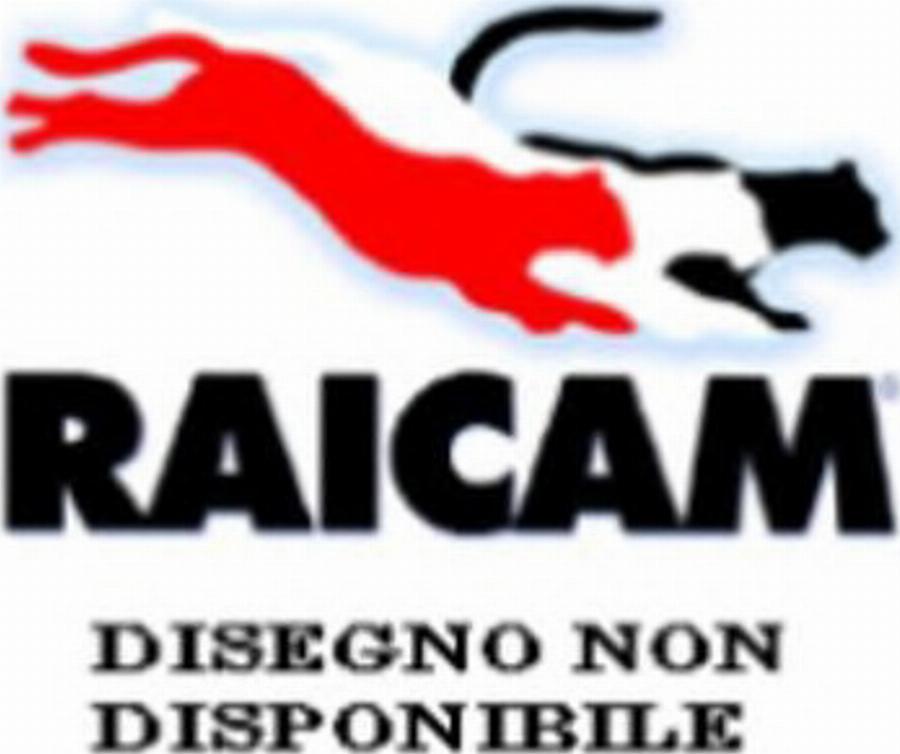 Raicam 2660 - Kit pastiglie freno, Freno a disco autozon.pro