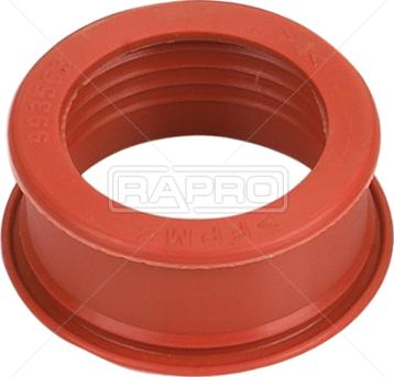 Rapro R59961 - Flessibile, Alimentazione aria autozon.pro