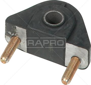 Rapro R59613 - Supporto, Braccio oscillante autozon.pro