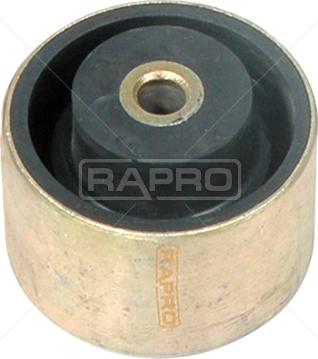 Rapro R59624 - Sospensione, Motore autozon.pro