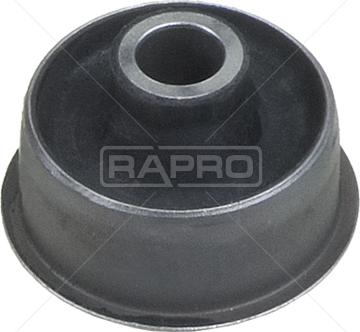 Rapro R59097 - Supporto, Braccio oscillante autozon.pro