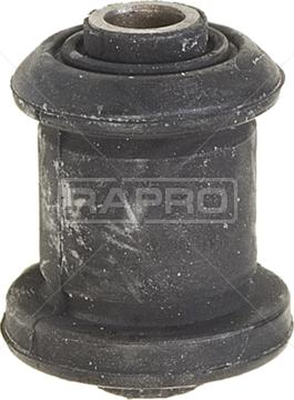 Rapro R59045 - Supporto, Braccio oscillante autozon.pro