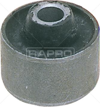 Rapro R59111 - Supporto, Braccio oscillante autozon.pro