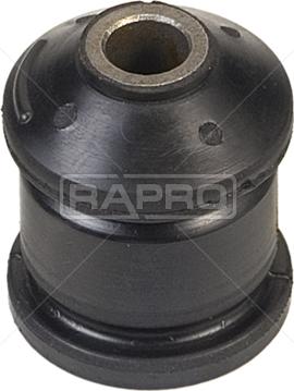 Rapro R59279 - Supporto, Braccio oscillante autozon.pro