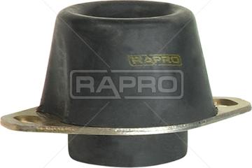 Rapro R59741 - Sospensione, Motore autozon.pro