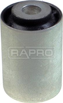 Rapro R54411 - Supporto, Braccio oscillante autozon.pro