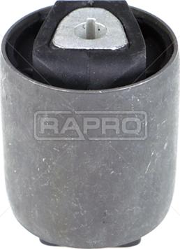 Rapro R54489 - Supporto, Braccio oscillante autozon.pro