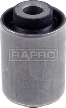 Rapro R54424 - Supporto, Braccio oscillante autozon.pro