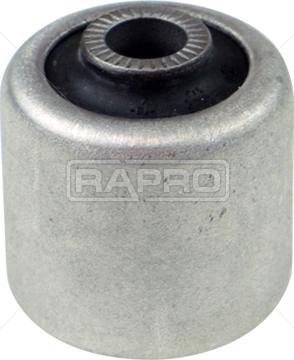 Rapro R54421 - Supporto, Braccio oscillante autozon.pro