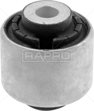 Rapro R54563 - Supporto, Braccio oscillante autozon.pro