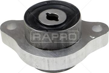 Rapro R54676 - Supporto, Braccio oscillante autozon.pro