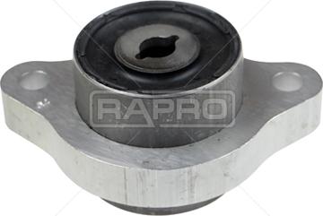 Rapro R54677 - Supporto, Braccio oscillante autozon.pro