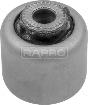 Rapro R54841 - Supporto, Braccio oscillante autozon.pro