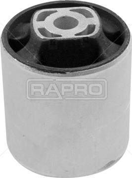 Rapro R54865 - Supporto, Braccio oscillante autozon.pro