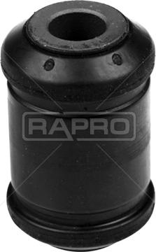 Rapro R54809 - Supporto, Braccio oscillante autozon.pro