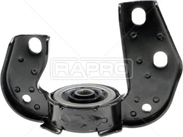 Rapro R54829 - Supporto, Braccio oscillante autozon.pro