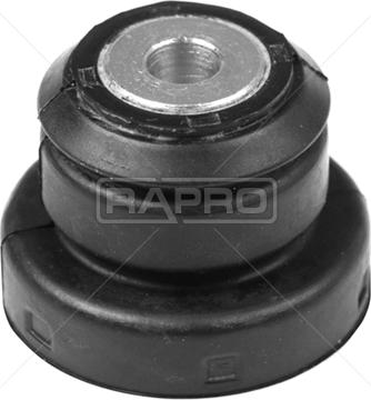 Rapro R54750 - Supporto, Braccio oscillante autozon.pro