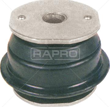 Rapro R55196 - Supporto, Corpo assiale autozon.pro