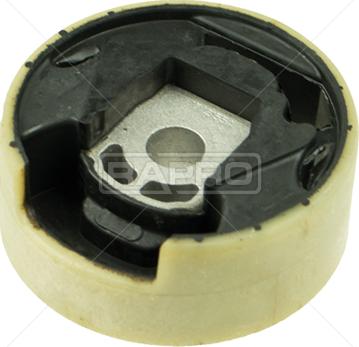 Rapro R55285/O - Sospensione, Motore autozon.pro