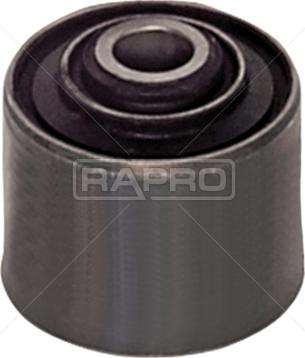 Rapro R55220 - Supporto, Braccio oscillante autozon.pro