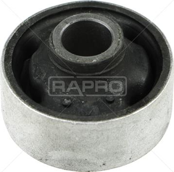 Rapro R56111 - Supporto, Braccio oscillante autozon.pro