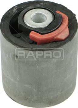 Rapro R56112 - Supporto, Braccio oscillante autozon.pro