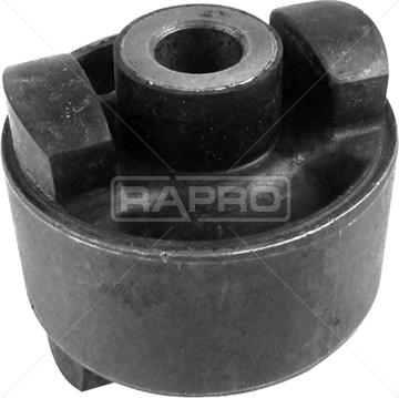 Rapro R50152 - Supporto, Braccio oscillante autozon.pro