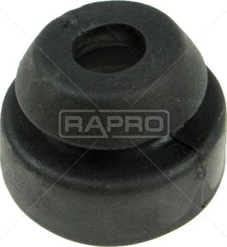 Rapro R51665 - Supporto, Radiatore autozon.pro