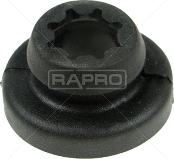 Rapro R51663 - Supporto, Carter filtro aria autozon.pro