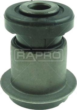 Rapro R51619 - Supporto, Braccio oscillante autozon.pro