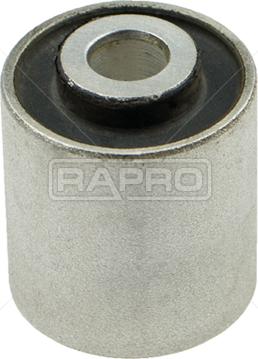 Rapro R51749 - Supporto, Braccio oscillante autozon.pro