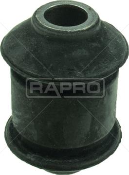 Rapro R51746 - Supporto, Braccio oscillante autozon.pro