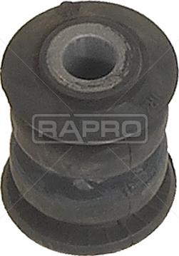 Rapro R58253 - Supporto, Braccio oscillante autozon.pro