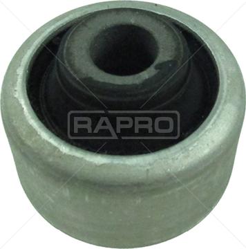 Rapro R53184 - Supporto, Braccio oscillante autozon.pro