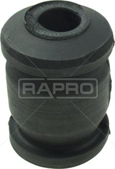 Rapro R53180 - Supporto, Braccio oscillante autozon.pro