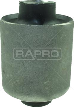 Rapro R53172 - Supporto, Braccio oscillante autozon.pro