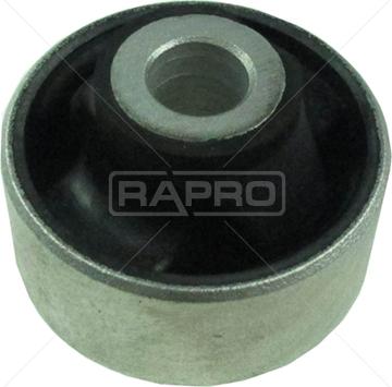 Rapro R53255 - Supporto, Braccio oscillante autozon.pro