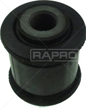 Rapro R53251 - Supporto, Braccio oscillante autozon.pro