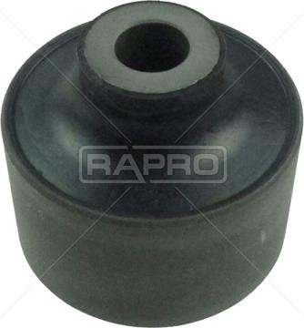 Rapro R53252 - Supporto, Braccio oscillante autozon.pro