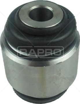 Rapro R53239 - Supporto, Braccio oscillante autozon.pro