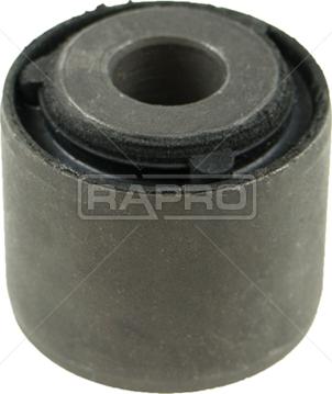 Rapro R52554 - Supporto, Braccio oscillante autozon.pro