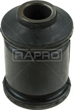 Rapro R52555 - Supporto, Braccio oscillante autozon.pro