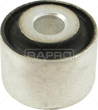 Rapro R52563 - Supporto, Braccio oscillante autozon.pro