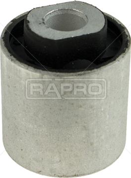 Rapro R52518 - Supporto, Braccio oscillante autozon.pro