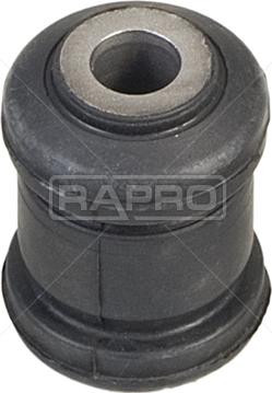 Rapro R52043 - Supporto, Braccio oscillante autozon.pro