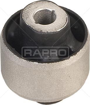 Rapro R52050 - Supporto, Braccio oscillante autozon.pro