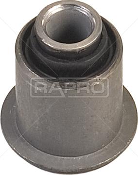 Rapro R52053 - Supporto, Braccio oscillante autozon.pro